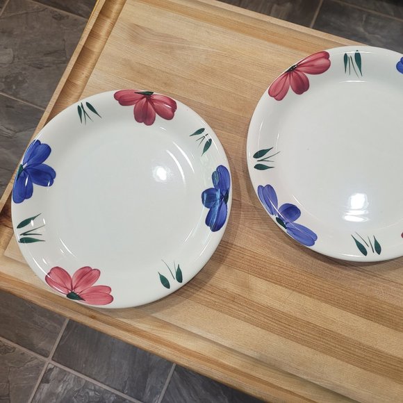 Two FURIO 10" Stoneware Dinner Plates Made in Italy Floral Jewflora - Picture 1 of 13